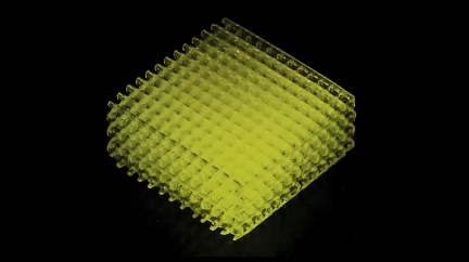 EFL青年論壇：生物3D打印制造技術