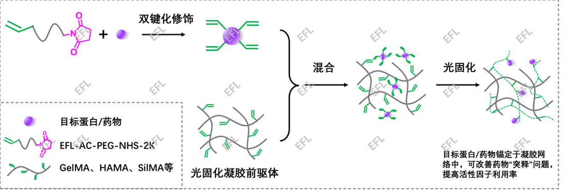 圖片2.1.png