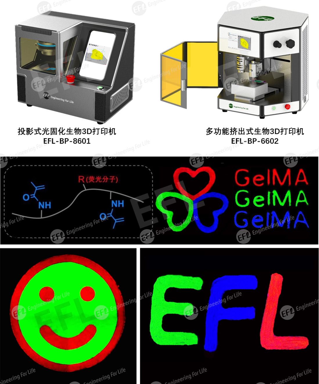 圖片6.jpg