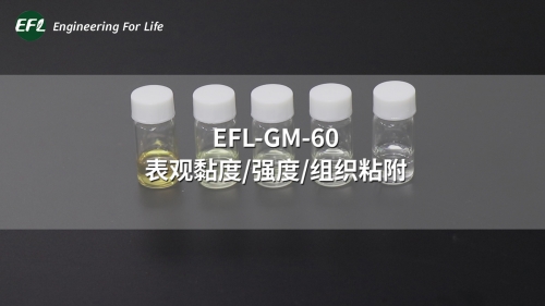 EFL-GM-60 不同濃度下的表觀黏度、強度、組織粘附性能