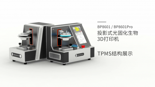 不同TPMS模型展示